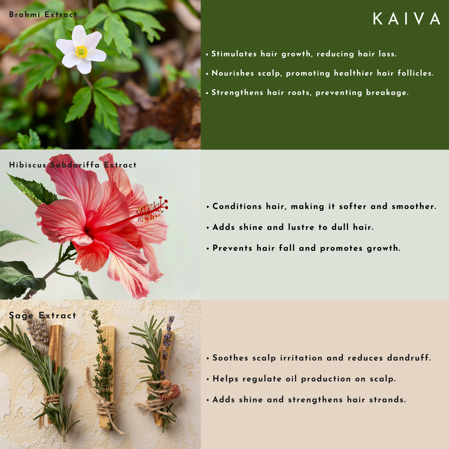 Rosemary & Tea Tree Scalp Care Hair Serum | Sulfate & Paraben Free – 30 ml