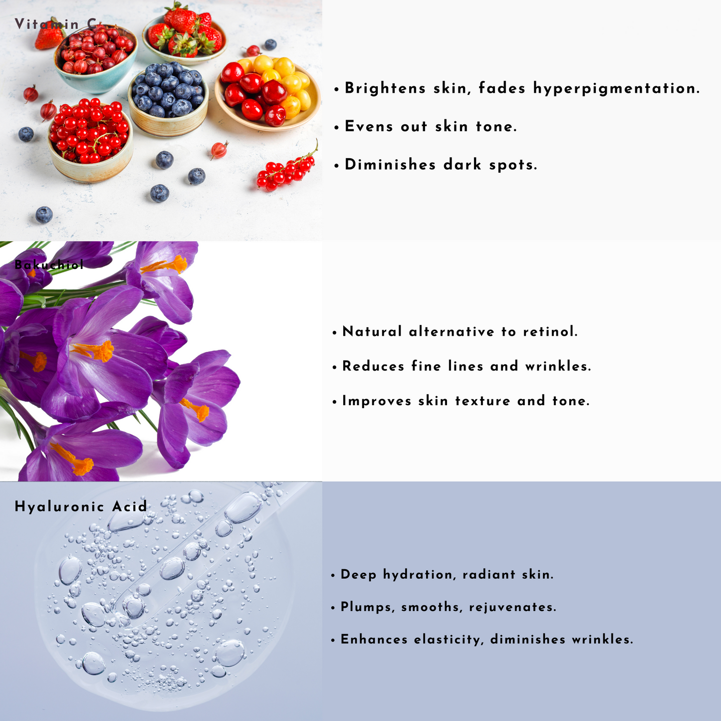 Alpha Arbutin & Vitamin C Brightening Serum with Bakuchiol