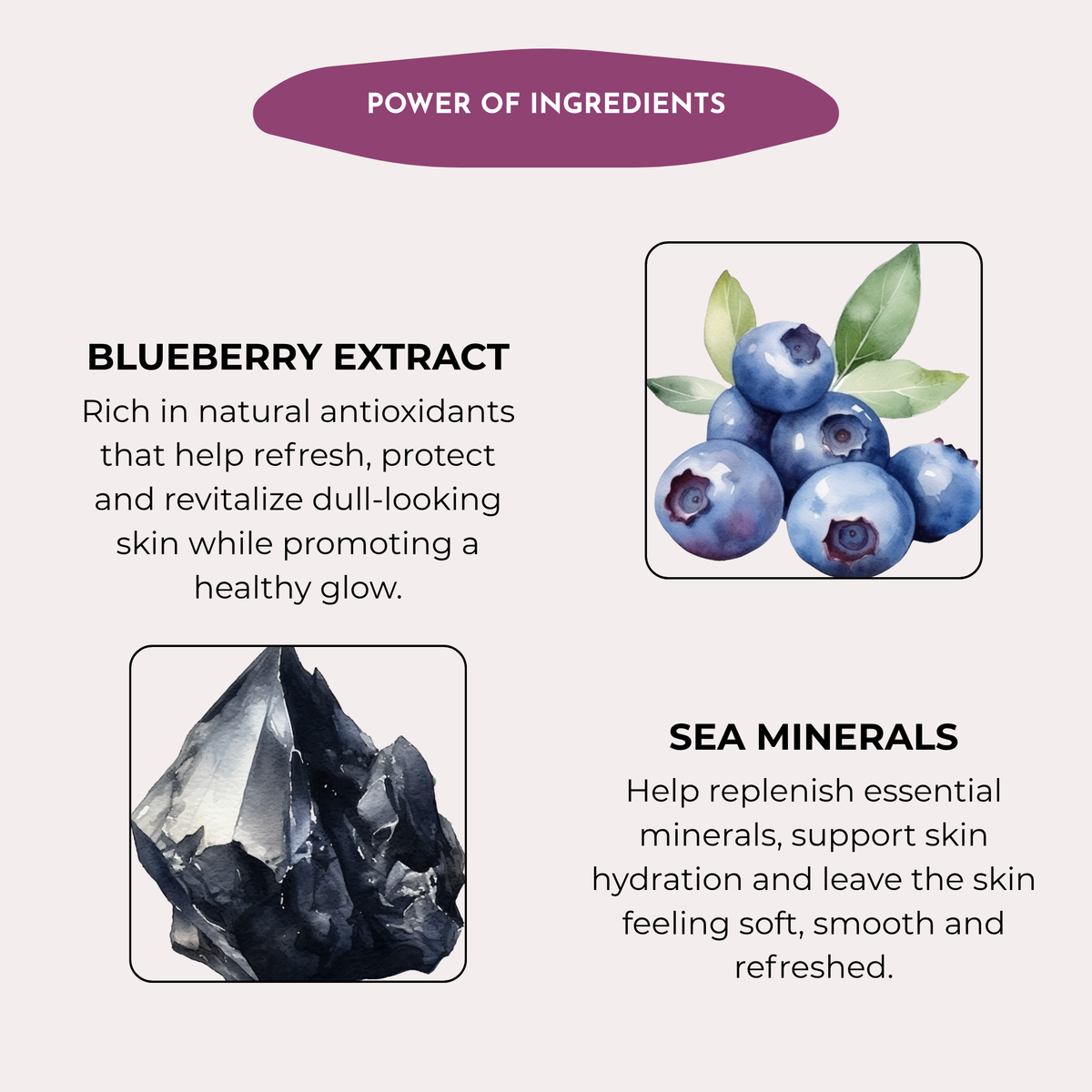 Blue Berry shower Gel | Body Wash enriched with vitamin-E