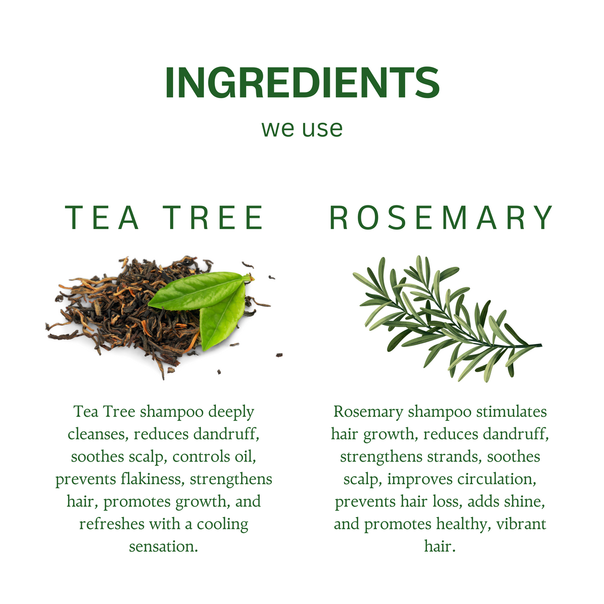 Rosemary  & Tea Tree Scalp Care  Hair Shampoo| Sulfate & Paraben Free – 100 ml