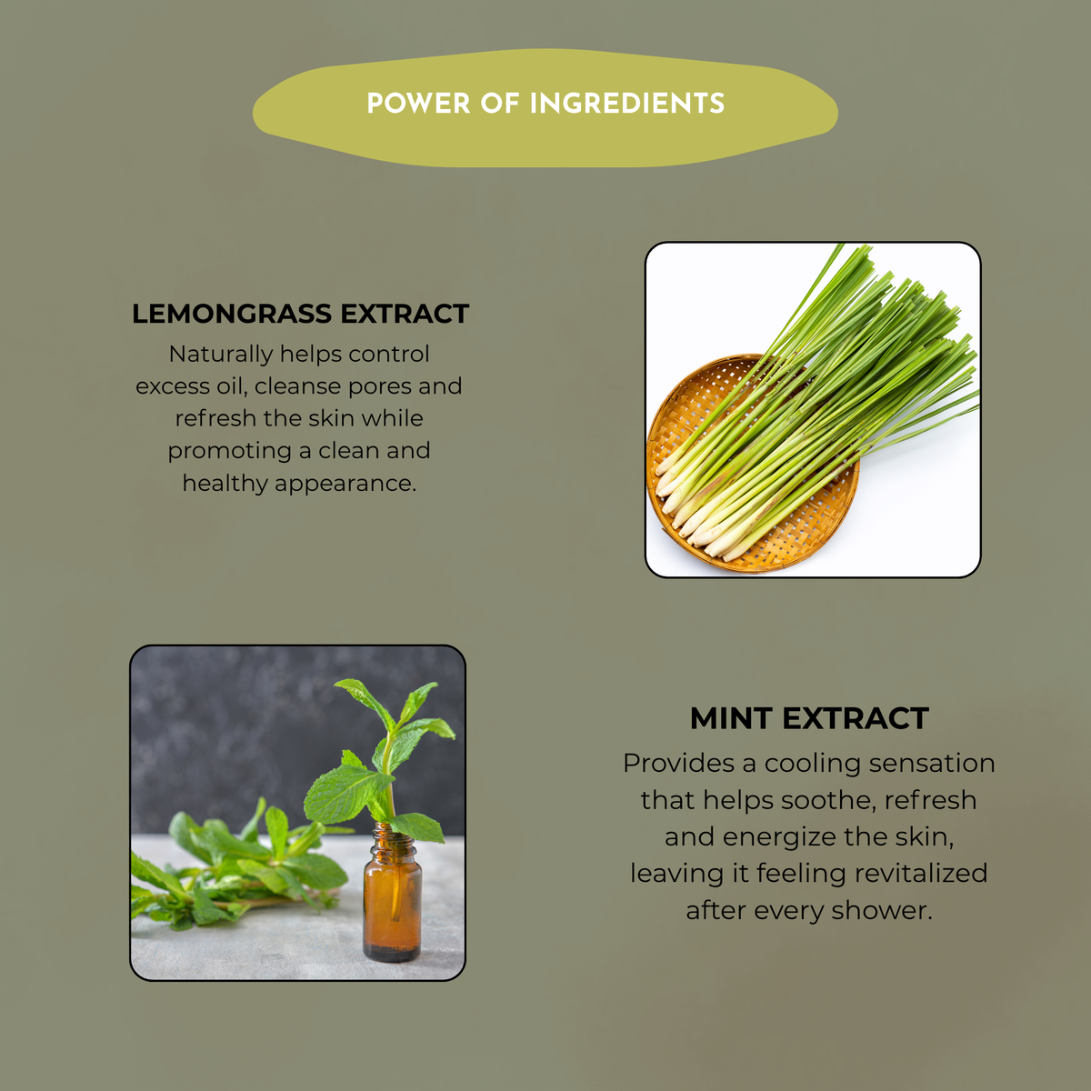 Lemongrass & Mint Shower Gel | Sulfate & Paraben Free