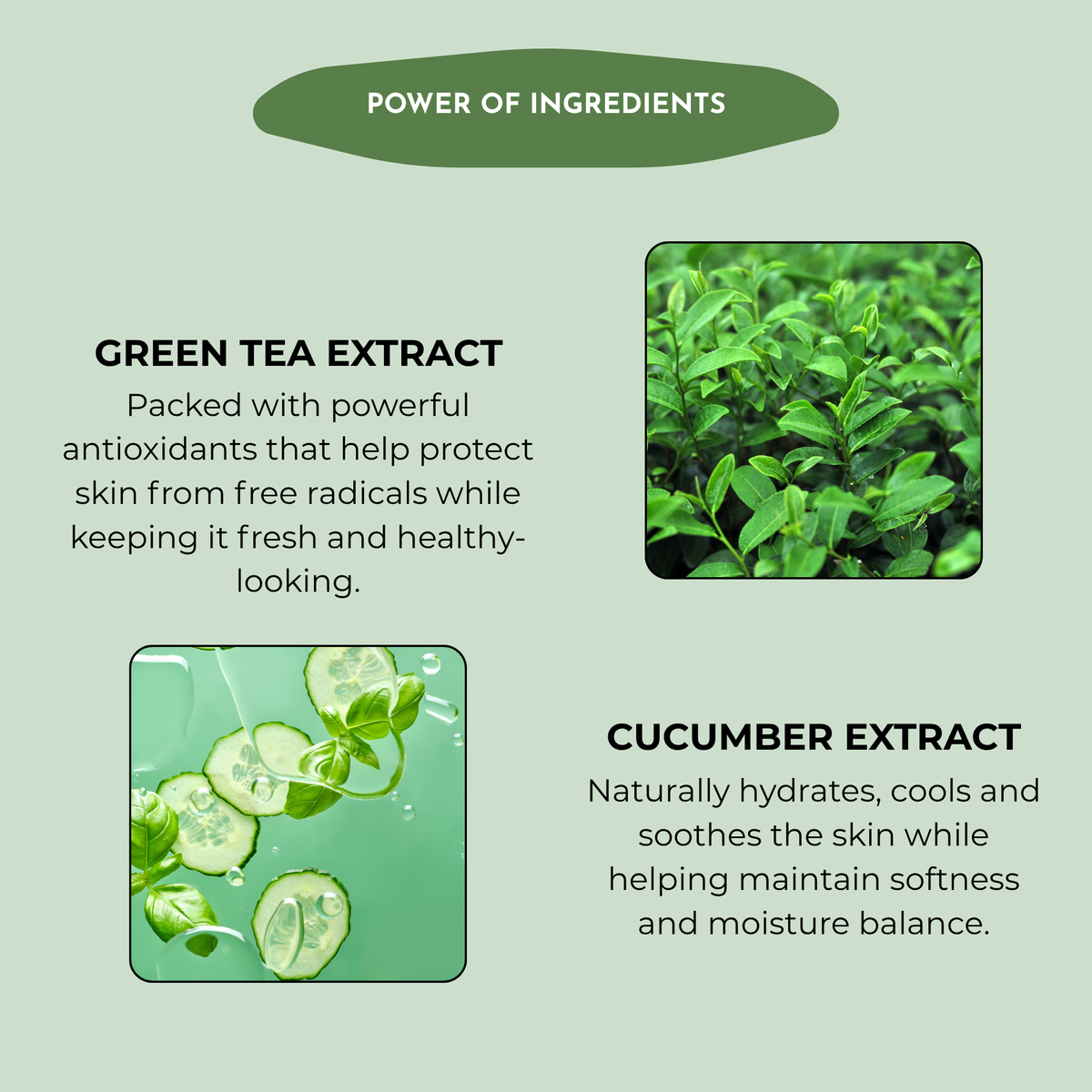 Green Tea & Cucumber Shower Gel | Sulfate & Paraben Free