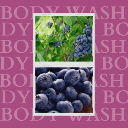 Blue Berry shower Gel | Body Wash enriched with vitamin-E - 300 ml